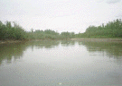 Salchaket Slough